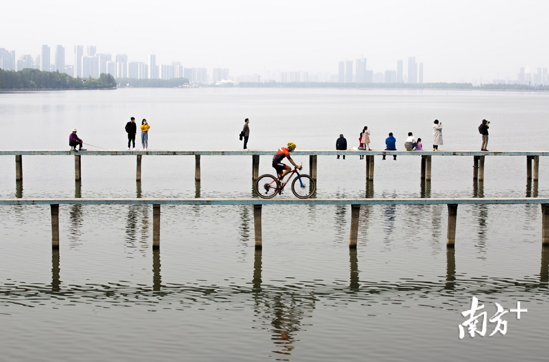 2020年4月23日，武汉市民在武大凌波门附近的栈桥享受休闲时光。 刘宇 摄&nbsp; 