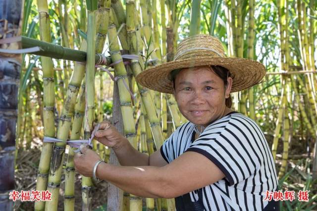 惠来|【迎国庆】2020年惠来县迎国庆“体彩杯”职工篮球邀请赛圆满闭幕