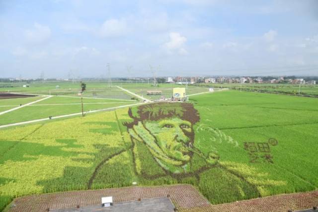 艺术|0元出片！茂名这个宝藏公园，实名拯救【渣男】！