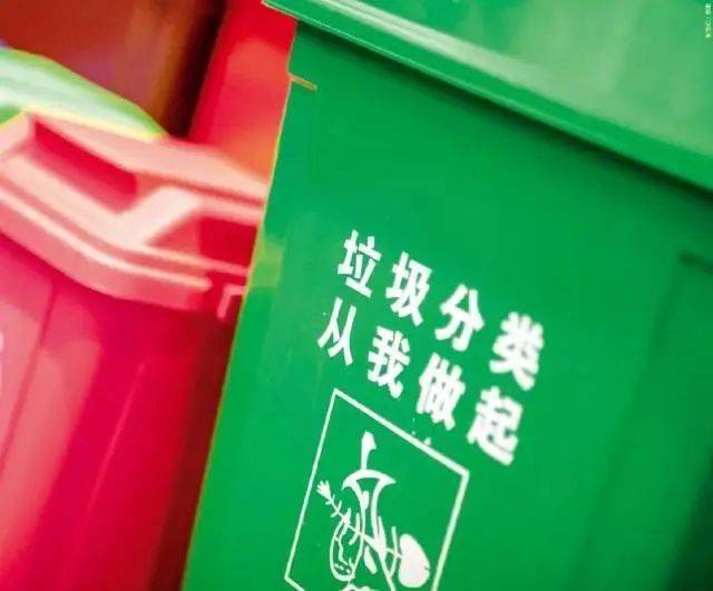 垃圾|广东：个人未按规定分类投放生活垃圾，最高罚500元！