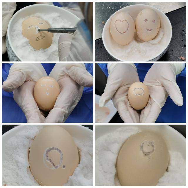 学员|深圳市医疗三名工程系列活动及山东大学齐鲁医院130年院庆学术交流-脊柱外科动力系统实操班圆满结束