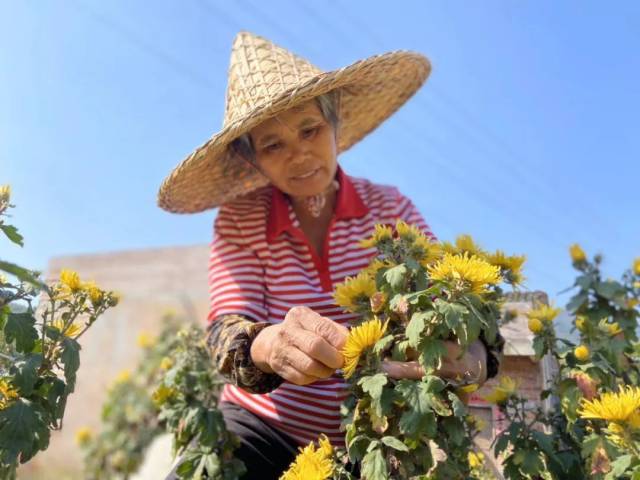 龙川|【美丽龙川 绿色崛起】补齐“三农”领域短板，夯实美丽乡村基础！