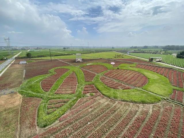 艺术|0元出片！茂名这个宝藏公园，实名拯救【渣男】！