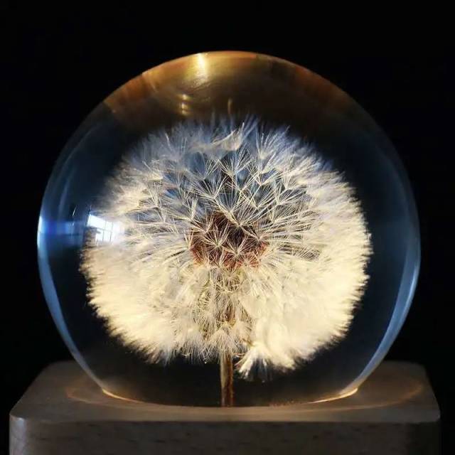 艺术|0元出片！茂名这个宝藏公园，实名拯救【渣男】！