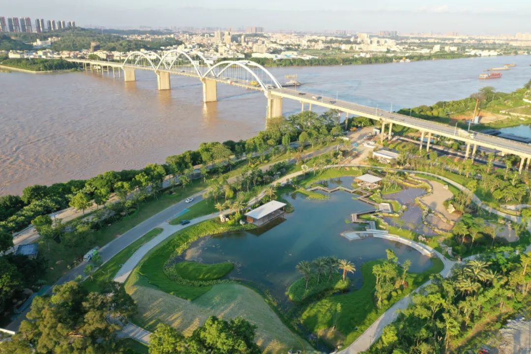 江门人才岛潮头中央公园。刘琼 摄