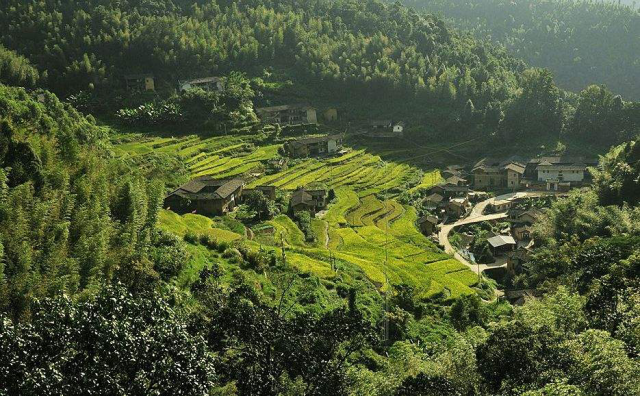 蜜柚|中秋的美好愿望:一柚一茶大埔赏月