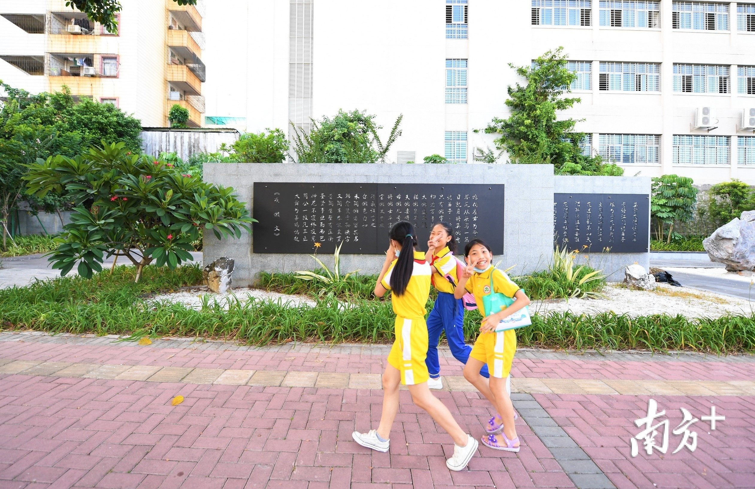 口袋公园。杨兴乐 摄