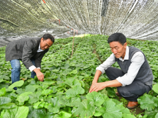 雷波激荡：穿越“生死线”｜山海协作 佛山战贫