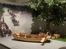 这个展览有点“甜”，你见过这样的荔枝吗？