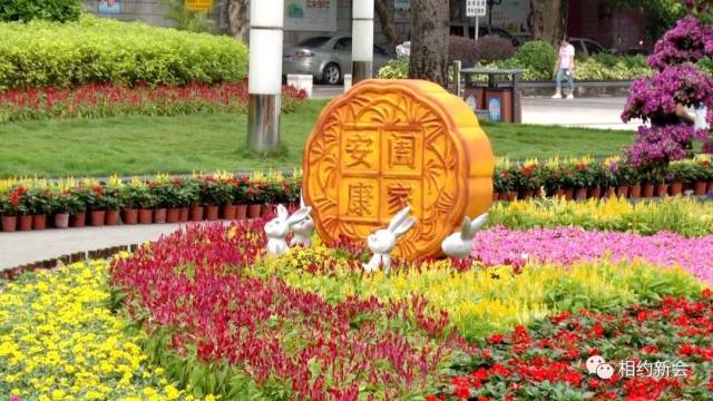 江门|国庆假期 乐享侨都④丨江门，一路飘红！