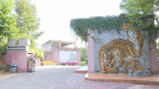 活动|“双节”假期留在韶关吧~连场活动,每天给你安排得明明白白!