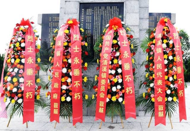 先烈|聚焦||弘扬烈士精神坚定奋斗决心！今天，我镇隆重举行烈士纪念日公祭烈士大会