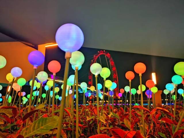 江门|国庆假期 乐享侨都④丨江门，一路飘红！