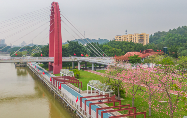 江门|国庆假期 乐享侨都④丨江门，一路飘红！