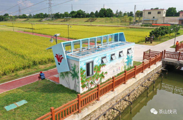 厕所|乡村公厕变高颜值网红打卡地！茶山推进厕所革命让游客更舒心！