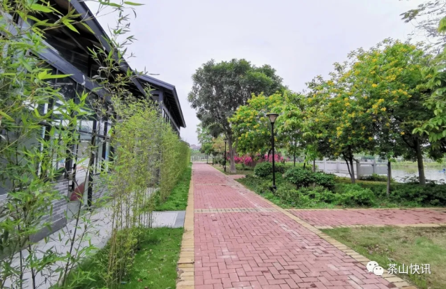 厕所|乡村公厕变高颜值网红打卡地！茶山推进厕所革命让游客更舒心！