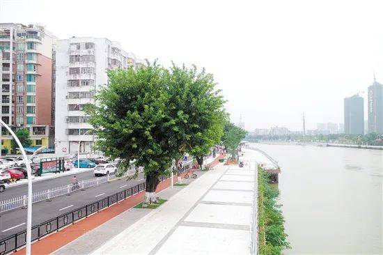 江门|国庆假期 乐享侨都④丨江门，一路飘红！