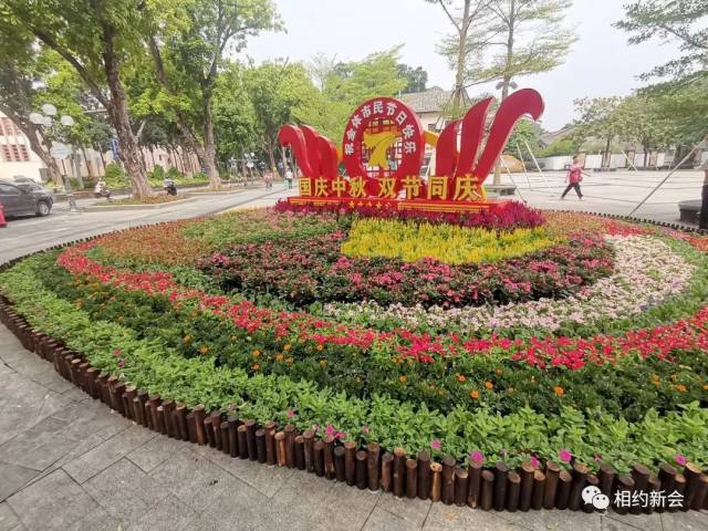 江门|国庆假期 乐享侨都④丨江门,一路飘红!