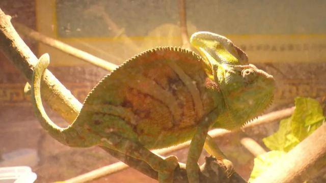 活动|“双节”假期留在韶关吧~连场活动，每天给你安排得明明白白！