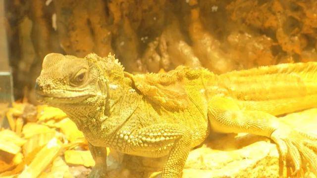 活动|“双节”假期留在韶关吧~连场活动,每天给你安排得明明白白!