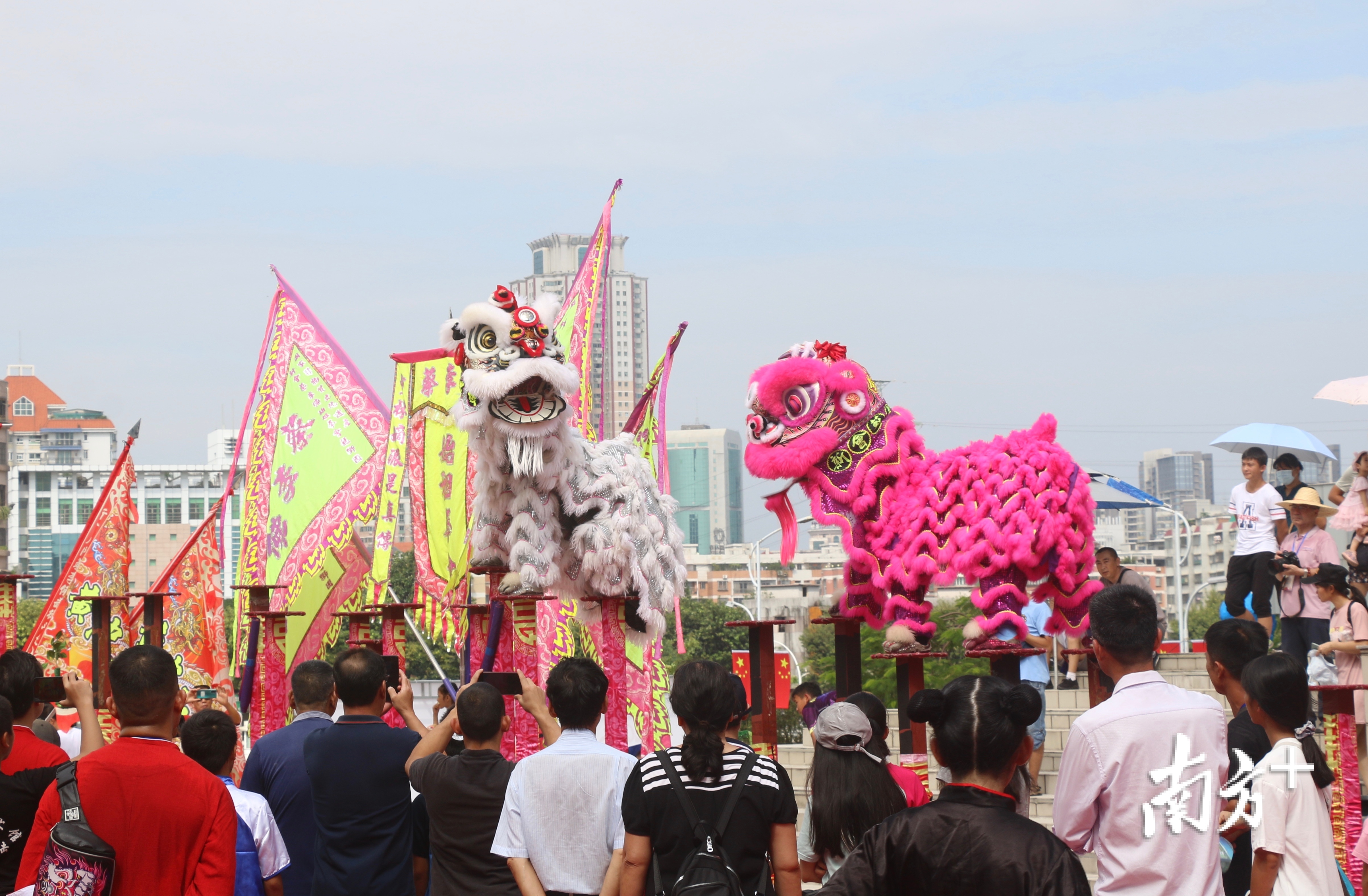 多图龙狮起舞庆双节高新区江海区成欢乐海洋