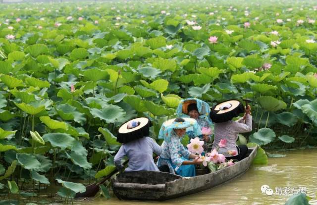 东江|“大美东江”摄影大赛入选作品展示(2)