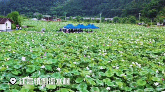 韶关|武江区，上天看看！