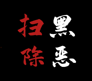 组织|威胁政府人员、围堵派出所!汕尾21人涉黑团伙全部判刑!