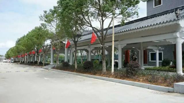 游客|一天迎客6.1万人次！游客最爱到河源这些地方打卡