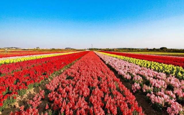 广州市|国庆去哪玩?广州这些最美乡村推荐给你!