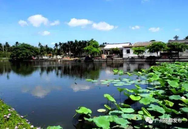 广州市|国庆去哪玩？广州这些最美乡村推荐给你！