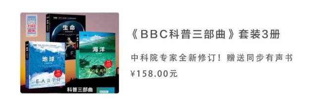 牛肉|肌理丝丝分明，好吃到吮指，鄂尔多斯的卤牛肉太上头了