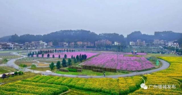 广州市|国庆去哪玩?广州这些最美乡村推荐给你!