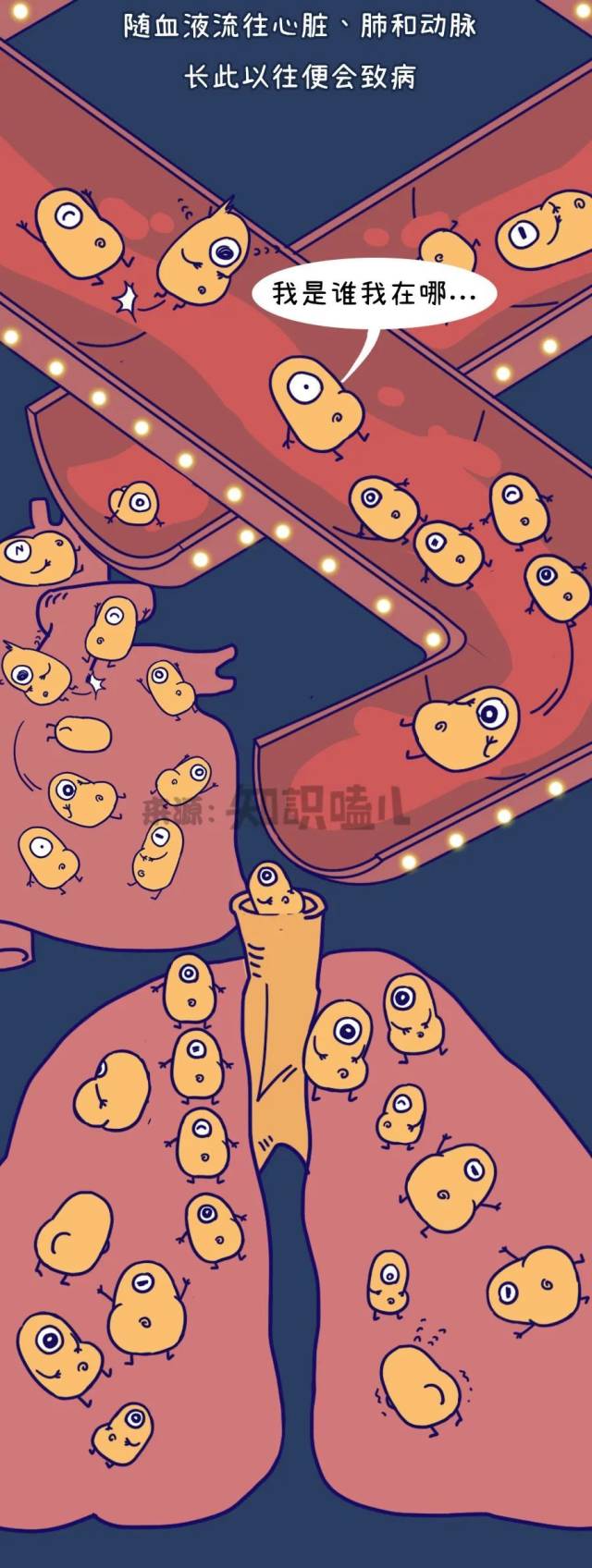 啤酒肚|听说“啤酒肚”的主谋不是啤酒？！