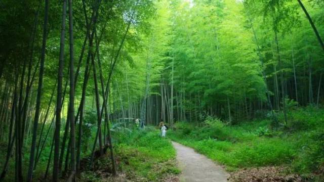 广州市|国庆去哪玩？广州这些最美乡村推荐给你！