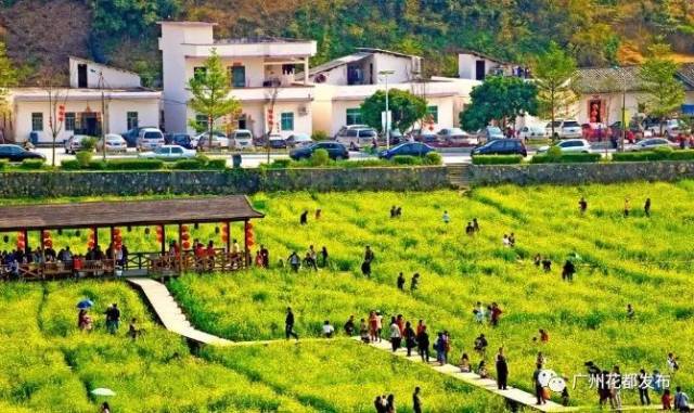 广州市|国庆去哪玩？广州这些最美乡村推荐给你！