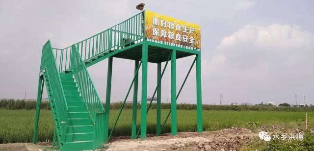 稻田|美！洪梅有幅稻田画，等你来打卡！