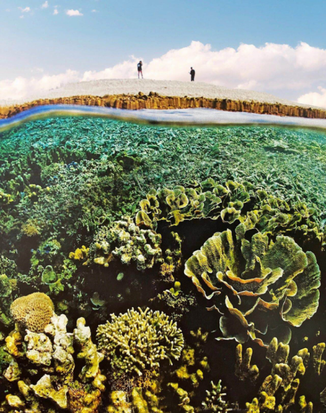 菠萝|嘀～解锁琼州海峡两岸这些美到飞起的打卡地