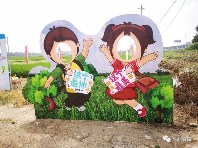 稻田|美！洪梅有幅稻田画，等你来打卡！