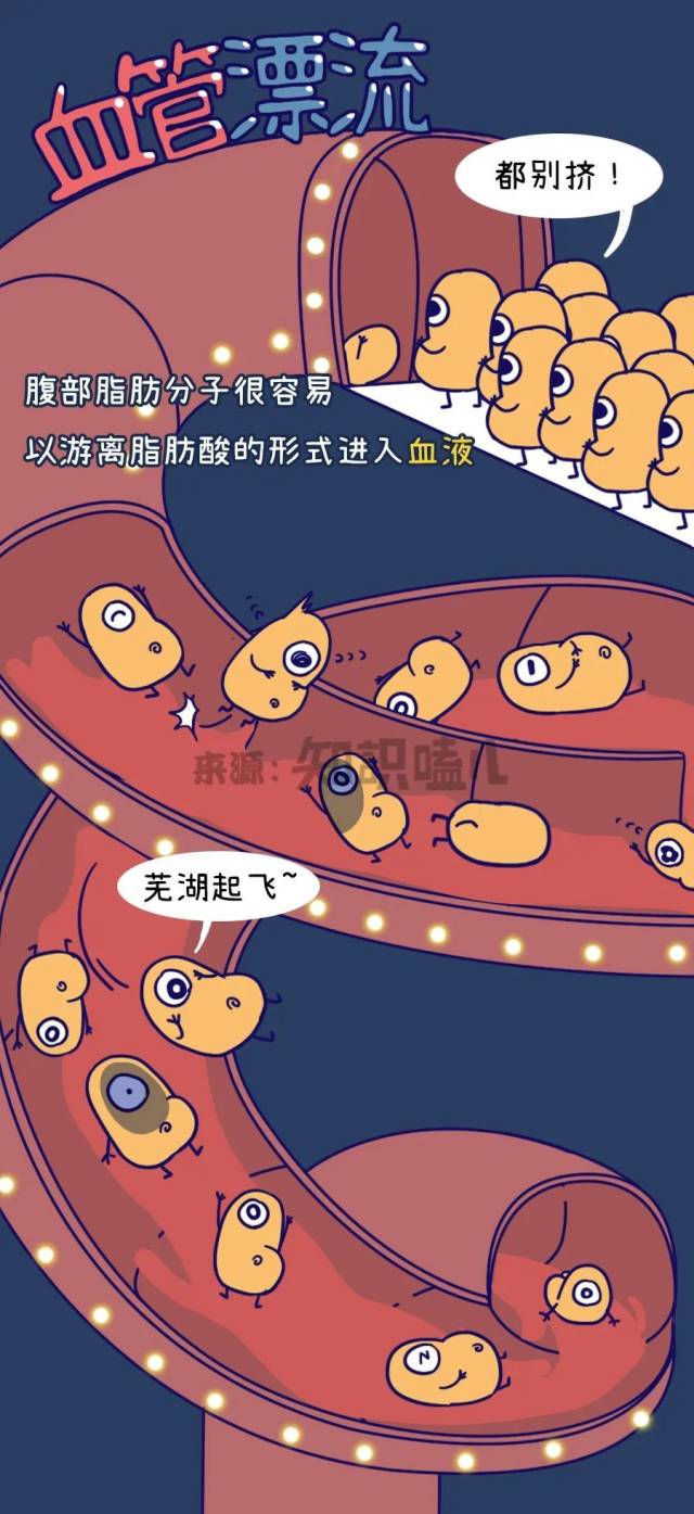 啤酒肚|听说“啤酒肚”的主谋不是啤酒？！