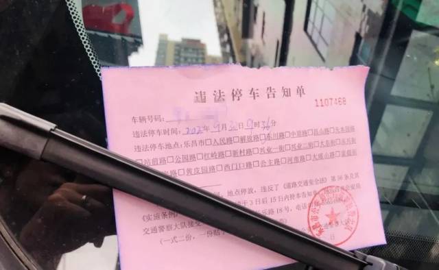 车辆|国庆被堵在高速，他一口气拍了361张照片举报……