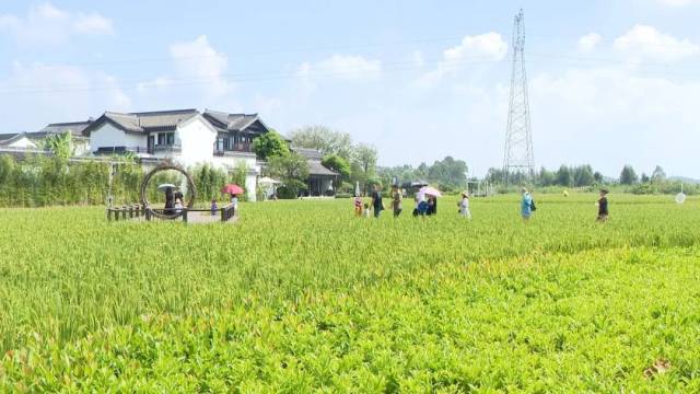 文明|停车有序、环境整洁…河源景区文明旅游氛围浓厚