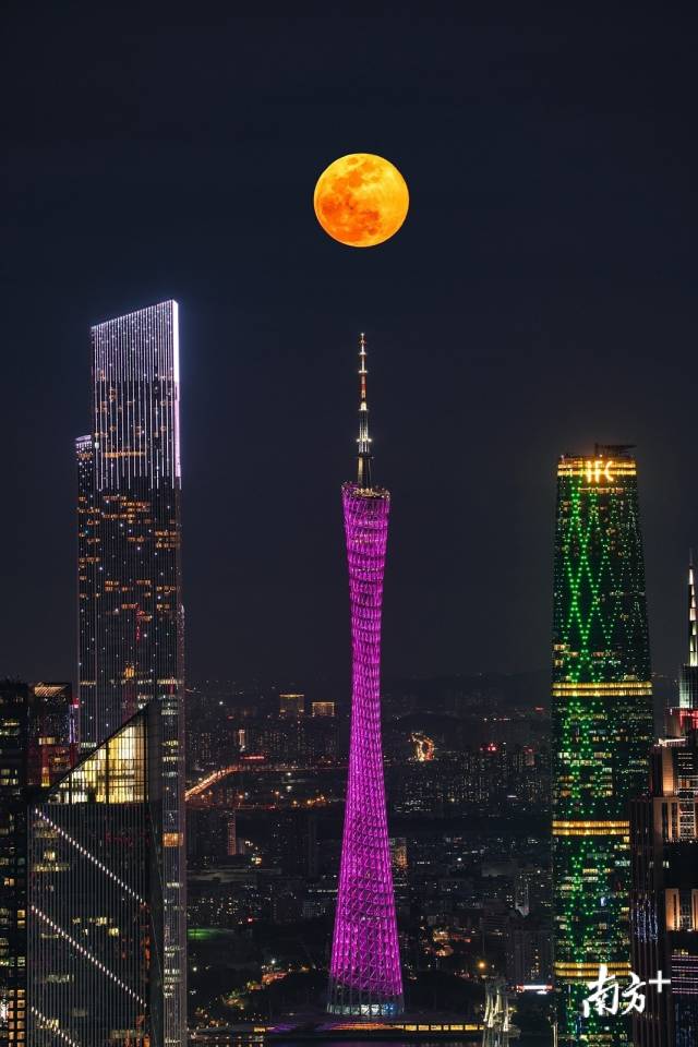 广州|南方拍客看广东|一周精选 美好的假期