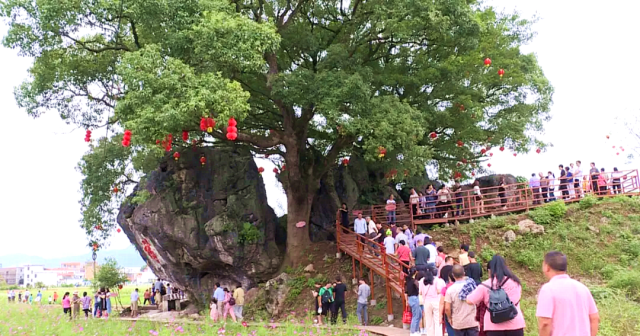 游客|假期已过半，还未动身出游？韶关周边让你玩个够！