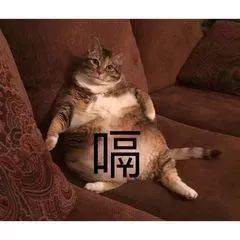 进食|“少吃点，更长寿！”双节期间，这句话请牢记！