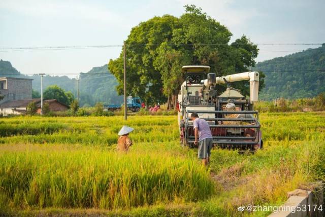 广州|太养眼！极美秋色藏在这里……