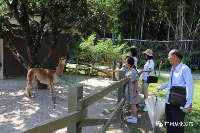 城郊街|逛花街、叹美食、品文化……从化这里精彩纷呈