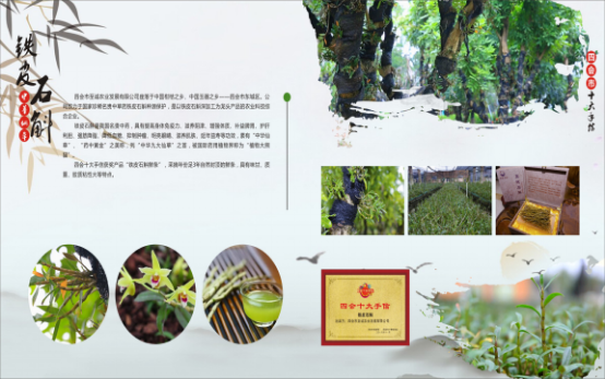 四会市|最全整理！四会中秋国庆旅游攻略！high翻整个假期！