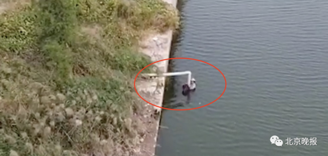 王恒烨|13岁少年试飞无人机发现老人落水!接下来的操作简直666!