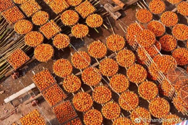 广州|太养眼！极美秋色藏在这里……